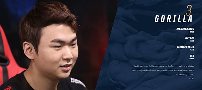 薇涵的经历 薇涵的经历